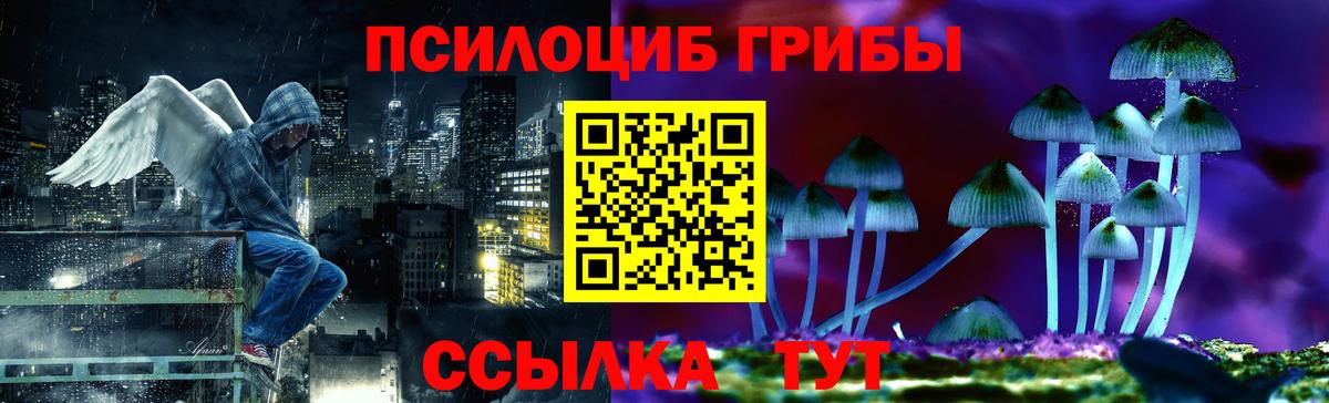 Псилоцибиновые грибы GOLDEN TEACHER Шатура