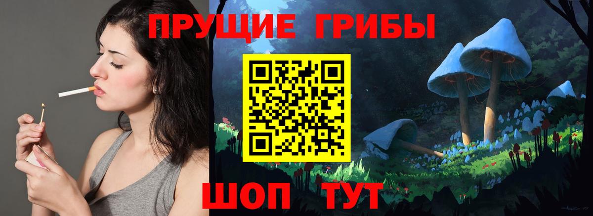 Псилоцибиновые грибы Psilocybe  Вход с VPN  Шатура 